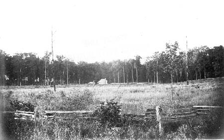 Cabin in clearing