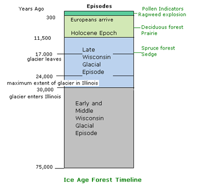 Timeline