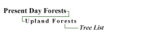Upland Forests: Tree List