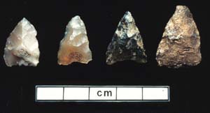 Arrowheads from European goods