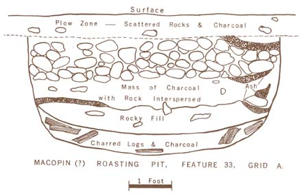 Roasting pit diagram