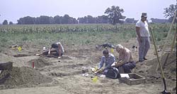 Archaeological excavation