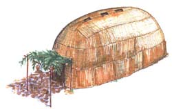 Longhouse Drawing