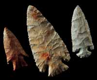 Early Archaic spear points