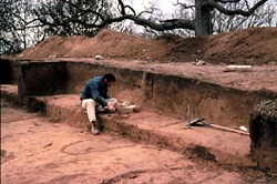 Norris Farms site