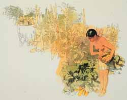 Harvesting squash