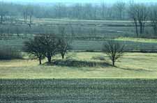 Ogden-Fettie mound and village