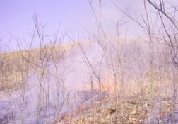 Bobtown Hill Prairie Nature Preserve