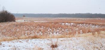 Winter on the prairie