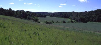 Site M State Fish & Wildlife Area