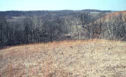 Bobtown Hill Prairie Nature Preserve