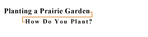How Do You Plant?