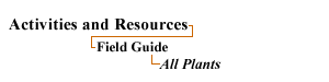 Resources