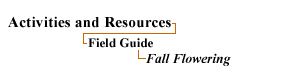 Resources