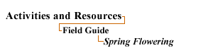 Resources