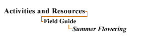 Resources