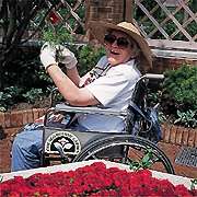 chic botanic garden lady