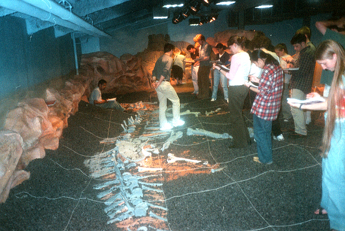 chicago children's museum dig