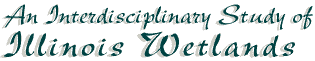 - An Interdisciplinary Study of Illinois Wetlands -