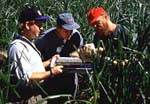 - Collecting Macroinvertebrates - 