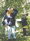 - Birdwatching (Edison) -