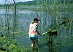 - Banner Marsh - 