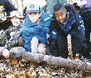- Finding Evidence of Beavers (Sugar Creek) -