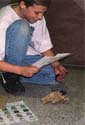 - Soil Testing Chart (Sugar Creek) - 