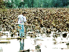 - Water Sampling (Auburn) -