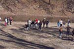- Fossil Hunting (McMillan) -