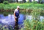 - Water Testing - 