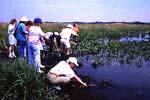 - Collecting Soil Samples -