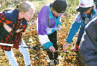 - Examining Soil Sample (Northpoint) -
