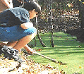 - Discovering Duckweed (Vienna) -