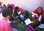 - Transect Study (Washington) - 